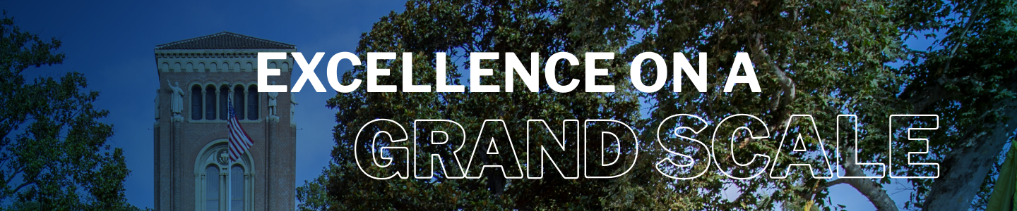 Excellence on a grand scale banner